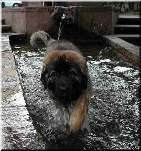 Brunnen1.jpg