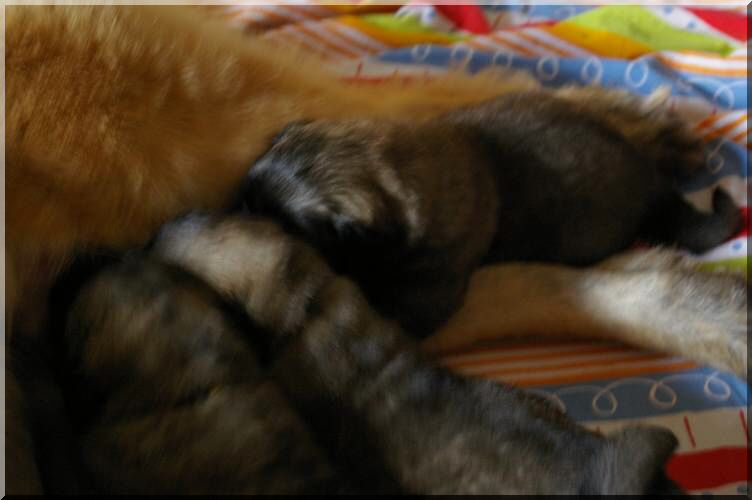 IMGP0673.jpg