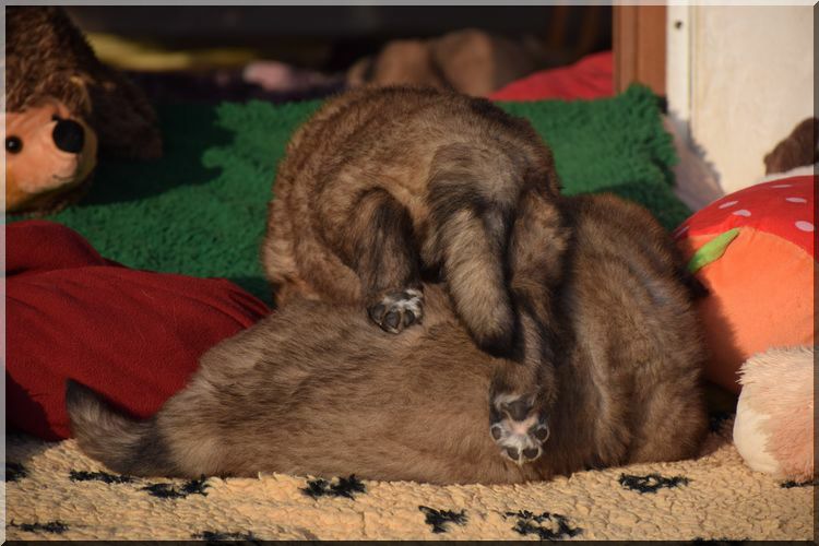 DSC_06141.jpg