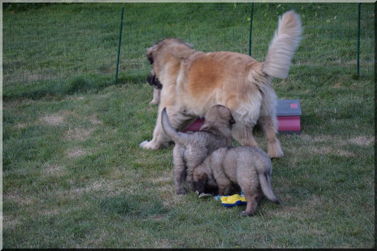 DSC_0236.jpg