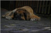 IMGP0043.jpg