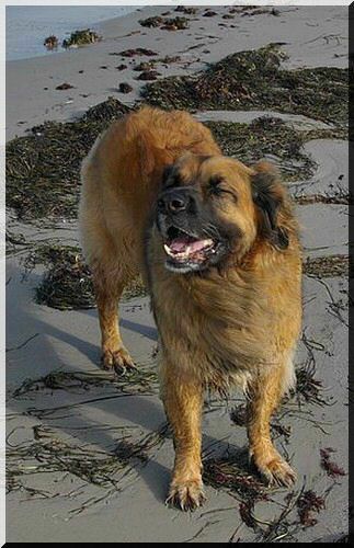 beach1.jpg