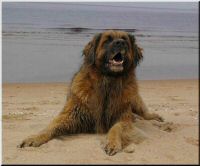 sand1.jpg
