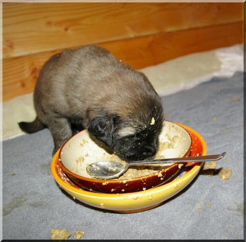 wk4.78.jpg